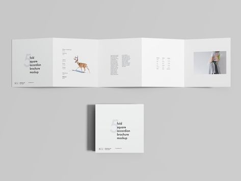 Free 5 Fold Accordion Brochure Mockup by Wassim Accordion Brochure, Flyer Mockup Free, Brochure Mockup Free, Brochure Folds, Booklet Layout, 보고서 디자인, Brochure Psd, Brochure Mockup, Square Brochures