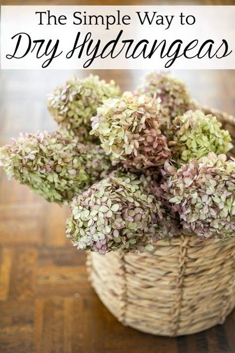 Dried Hydrangeas Centerpiece, Dry Hydrangea Arrangements, Dry Hydrangeas, Hydrangea Season, Hydrangea Vase, Fall Hydrangea, Fall Boards, Hydrangea Centerpiece, Fall Entryway