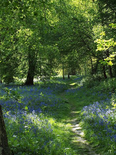 Me As A Place, Kent Countryside, Uk Landscape, 숲 사진, Uk Nature, Uk Summer, Arte Indie, Easy Decor, Image Nature