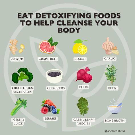 Our bodies need daily detoxification to stay healthy and vibrant. Nutrition plays a key role in this process by supporting the liver, kidneys, and bowels. Incorporate these detox-friendly foods into your diet to help your body cleanse naturally: •High Fiber Foods: Promote bowel health and regularity. •Green Leafy Veggies: Packed with nutrients that aid detox. •Ginger: Known for its anti-inflammatory properties. •Garlic: Supports liver function and detoxification. •Lemon: Boosts digestion and... Foods Good For Liver Health, Natural Liver Detox Cleanse, Liver Supportive Foods, Detoxing Foods, Food Good For Liver, Cleansing Diet, Natural Liver Detox, Detoxifying Food, Detox Supplements