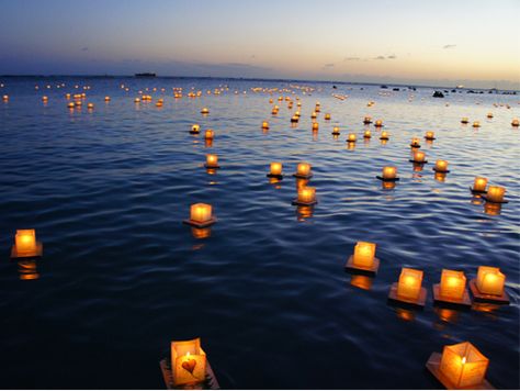 Annual floating lantern ceremony in Hawaii....Breath taking! Floating Candles Lake, Toro Nagashi, Lantern Ceremony, Lantern Floating, Light On Water, Night Candle, Floating Lanterns, Sky Lanterns, Colorful Roses