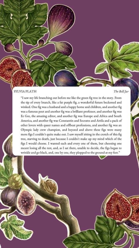 Sylvia Plath fig tree analogy from the bell jar The Fig Tree Sylvia Plath, Fig Tree Sylvia Plath, Sylvia Plath Fig Tree Analogy, Sylvia Plath Fig Tree, Fig Tree Analogy, Tree Quotes, Green Fig, Famous Poets, Sylvia Plath