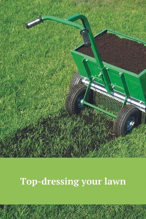 Fall Lawn Maintenance, Lawn Care Diy, Overseeding Lawn, Lawn Renovation, Lawn Repair, Lawn Mower Repair, Garden Prepping, Landscaping Equipment, Diy Lawn