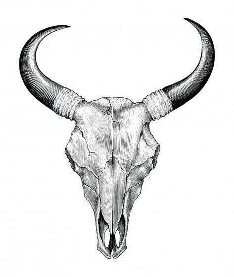 Cow Skull Drawing With Flowers, Bull Skull Drawing, Cow Skull Drawing, Tattoo Crane, Cow Skull Tattoos, Bull Skull Tattoos, Skull Drawings, Bison Skull, Skull Sketch