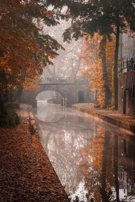 Netherlands In Autumn, Autumn Town Aesthetic, Cold Autumn Aesthetic, Utrecht Aesthetic, Autumn Netherlands, Fall Aethestic, Netherlands Landscape, Netherlands Nature, Autumn Castle