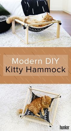 Your cat should live as stylish as you do and this DIY kitty hammock is an easy way to do exactly that! This cozy place for them to lounge matches your modern aesthetic and design, plus adds a special touch to your decor! #DIY on Hunker! Hammock Diy, Diy Cat Hammock, Katt Diy, Diy Chat, Katt Grejer, Kat Diy, Chat Diy, Koti Diy, Diy Hammock