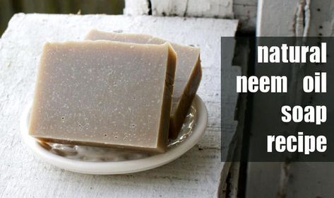 Homemade Neem Oil Soap Recipe for Eczema Prone Skin Neem Oil Soap, Soap Images, Aloe Soap, Soap Benefits, Neem Soap, Salve Recipes, Cold Process Soap Recipes, Soap Ideas, Diy Skin Care Recipes