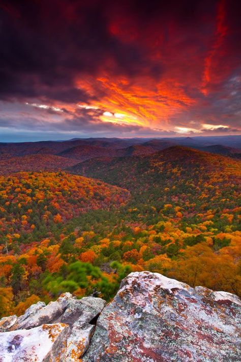 Fiery Ledge, Flatside Pinnacle, Arkansas, USA Arkansas Travel, Autumn Landscape, Beautiful Places To Visit, Travel Usa, Beautiful World, Arkansas, Beautiful Landscapes, Cool Places To Visit, Oklahoma