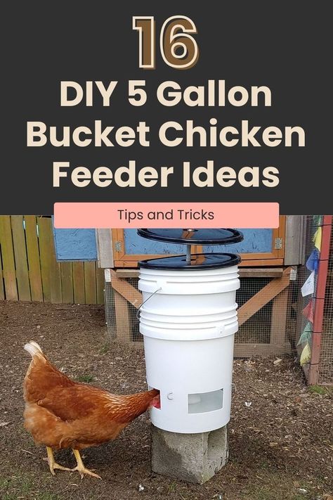 Transform a simple 5-gallon bucket into an efficient feeding system with our 16 DIY chicken feeder ideas. Whether you're a DIY novice or a crafting veteran, these designs cater to all skill levels. Enjoy the satisfaction of creating a functional piece for your flock. Dive into these innovative solutions and keep your chickens well-fed and happy! Chicken Bucket Feeder, Diy Chicken Feeder Pvc, Chicken Water Feeder Ideas, Gravity Feeder Chicken, 5 Gallon Bucket Chicken Feeder, Diy Chicken Feeder Ideas, Diy Hanging Chicken Feeder, Hanging Chicken Feeder Ideas, Chicken Feeding System