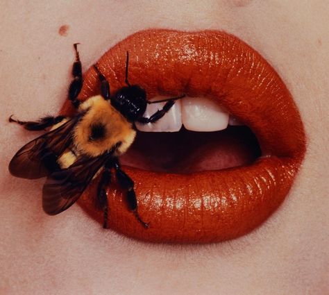 RARE PICS on Instagram: “‘Bee On Lips’ by Irving Penn for Vogue 🐝💋” Irving Penn, Reference Photos For Artists, Beyond Beauty, Lip Art, Pics Art, Photo Reference, Art Reference Photos, 그림 그리기, American Art