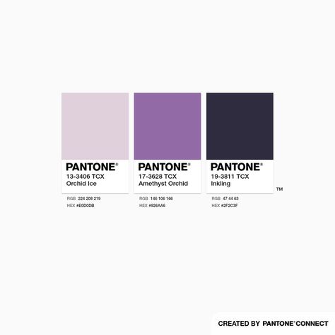 Orchid Color Palette, Amethyst Color Palette, Amethyst Palette, Romantic Clothing Style, Pantone Colour Palettes, Purple Color Palettes, Orchid Color, Clinic Design, Event Branding