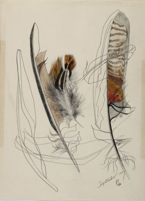 ArtPropelled — valscrapbook: http://hitta-hem.blogspot.se/ Feather Art, A Level Art, Natural Forms, Mark Making, Art Plastique, A Drawing, Pencil Drawing, Art Journals, Bird Art