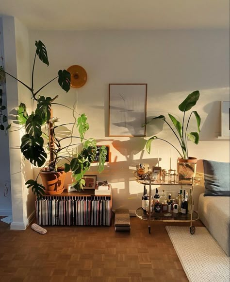 Lots Of Plants, Aesthetic Rooms, Apartment Decor Inspiration, Apartment Inspiration, Living Room Inspo, A Living Room, Dream House Decor, Aesthetic Room Decor, Dream Home Design