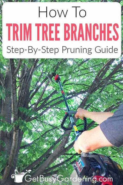 Do your trees have dead or damaged branches? Are the limbs bending off in unwanted directions? Learn how to properly the branches yourself without damaging the tree, or leaving it at risk for disease. Find out when the best time is to cut those problematic branches off the tree so that it grows bushy, and healthy in the direction that you want. Pick up plenty of tips for good tree trimming practices, the right tools, and how to tackle the larger projects without calling in an expensive service. Pruning Roses, Tree Pruning, Tree Trimming, Tree Care, Landscaping Tips, Yard Work, Garden Care, Garden Trees, Flowers Garden