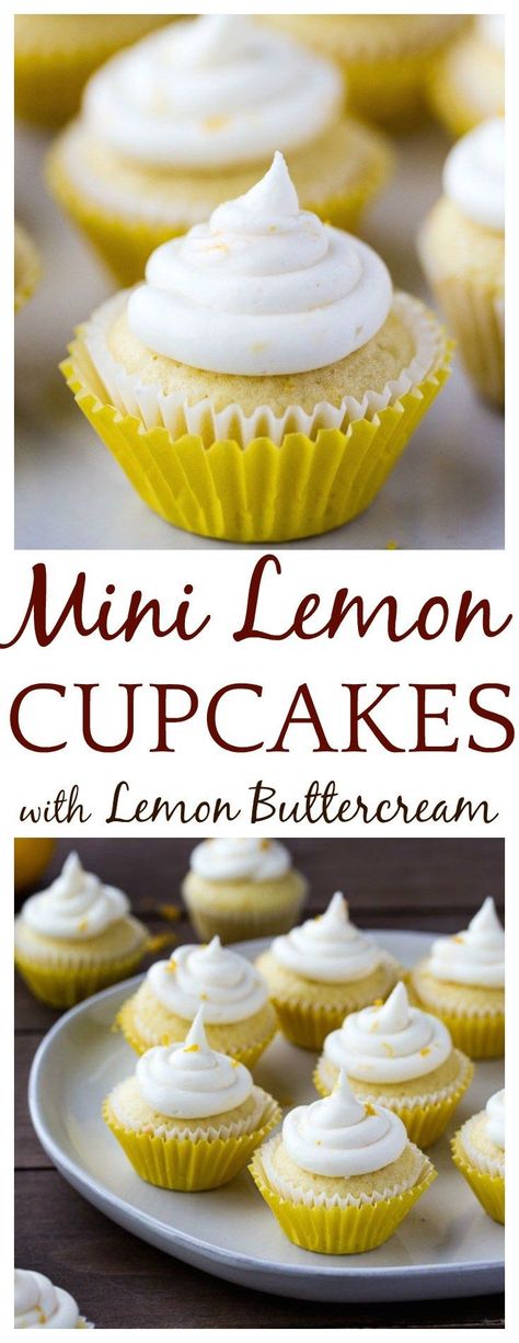 These 2 bite Mini Lemon Cupcakes with Lemon Buttercream Frosting are small, but pack a fresh lemony punch! They are perfect for summer and spring! | #lemoncupcakes #cupcakes #cupcakesrecipe #easyrecipe #dessert #dlbrecipes | fresh lemon cupcakes Lemon Mini Cupcakes, Lemon Icing For Cupcakes, Easy Mini Cupcake Recipe, Best Mini Cupcake Recipe, Easy Mini Cupcakes, Lemon Cupcakes From Scratch, Mini Cupcakes Ideas, Mini Cupcakes Recipe, Mini Cupcake Recipe