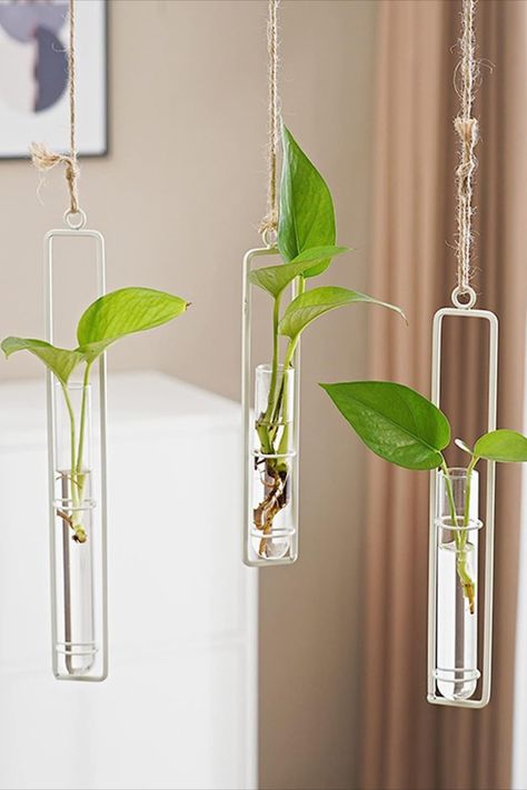 Test Tube Vase, Hanging Terrarium, Terrarium Containers, Hanging Plants Indoor, Light Up Letters, Test Tubes, Metal Vase, Heat Resistant Glass, Hanging Plant