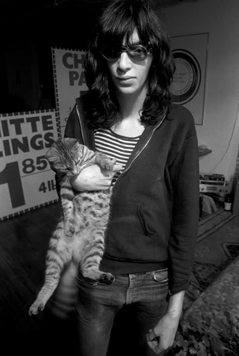 Celebrities With Cats, Men With Cats, Joey Ramone, National Cat Day, Dog People, Rock N’roll, Cat People, Cat Person, Tv Movie