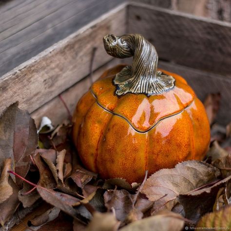 Fall Ceramics, Pottery Kitchenware, Pumpkin Pottery, Ceramic Pumpkins, Ceramic Cutlery, Ceramic Pumpkin, Organic Ceramics, Modern Dinnerware, Ceramic Dinnerware Set