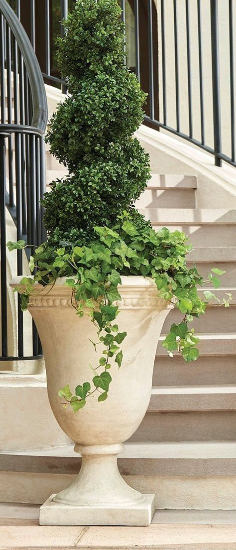 Fashioned of a hand-cast stone composite, this planter has a striking, timeless look. It features a shallow bottom so it requires less soil. This is the perfect accent for an entryway, walkway or dining area, indoors or outside. Fall Aesthetic Decor, Fall Room Inspiration, Front Yard Halloween, Painting Ideas Pumpkin, Burgundy Christmas Decor, Porch Urns, Fall Room Decor Ideas, Small Theatre Room Ideas, Theatre Room Ideas