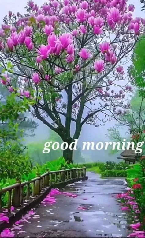 Good Morning With Flowers, Happy Monday Good Morning, Monday Good Morning Wishes, Monday Good Morning, Good Morning Wish, Good Morning Gif Images, Good Morning Sun, Good Morning Monday Images, Beautiful Good Morning Wishes