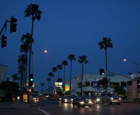 Los Angeles Aesthetic, Letter X, City Vibe, City Of Angels, California Dreamin', California Dreaming, Dream Lifestyle, Studio City, Jolie Photo