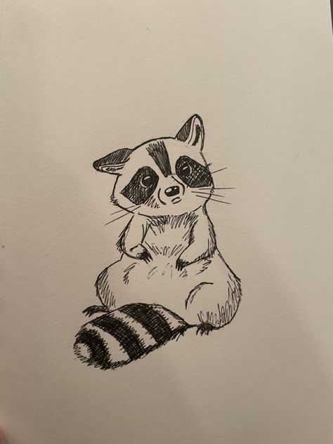 Cute Drawings Of Raccoons, Sketch Ideas Animals Easy, Raccoon Sitting Drawing, Raccoon Pencil Drawing, Drawing Of Raccoon, Pretty Animal Drawings, How To Draw Cartoon Raccoon, Bumble Bee Drawing Step By Step, Fun Animal Doodles