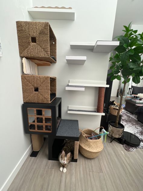 I used square shelves and stickable carpet from Amazon, Ikea picture shelves and baskets, a small cat nook from winners and drilled it into the wal where placement made sense! The top shelf has a Dollarama scratching post stuck into it as well and the scratch post is removed from an old cat tree secured with its screw into the picture shelf. Cat Nook, Ikea Picture Shelves, Square Shelves, Picture Shelf, Square Shelf, Apartment Storage, Living With Cats, Picture Shelves, Small Apartment Living