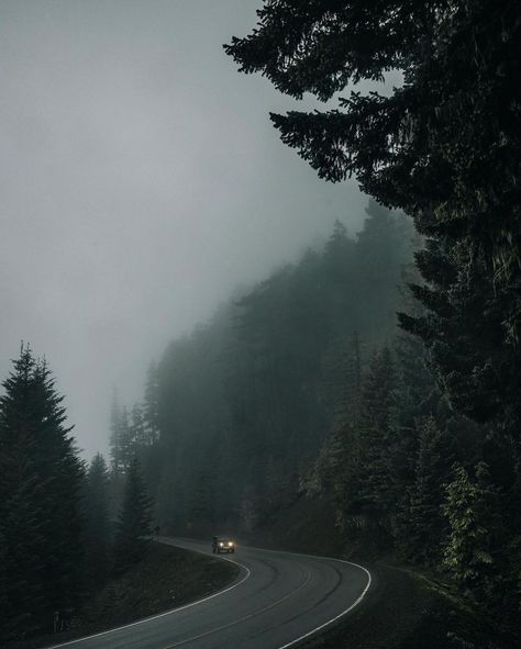 Dark Forest Aesthetic, Foggy Weather, Mountain Aesthetic, Foggy Mountains, Twilight Aesthetic, Forest Aesthetic, Forest Mountain, Dark Nature, Gloomy Day