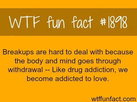 Addicted To Love, Crazy Facts, Mind Blowing Facts, Wow Facts, Love Facts, Random Facts, True Facts, The More You Know, Psychology Facts