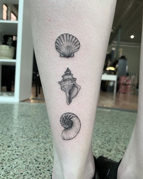 3 Shells Tattoo, Realistic Seashell Tattoo, Seashells Tattoo Ideas, Cockle Shell Tattoo, Nautalis Shell Tattoo, Scallop Tattoo, Sea Shell Tattoos, Sea Shells Tattoo, Nautilus Shell Tattoo