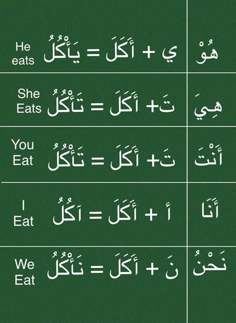 Arabic For Beginners, Learning Arabic For Beginners, Arabic Verbs, Arabic Sentences, Learning Languages Tips, Learn Arabic Online, Arabic Worksheets, Teach Arabic, English Language Learning Grammar