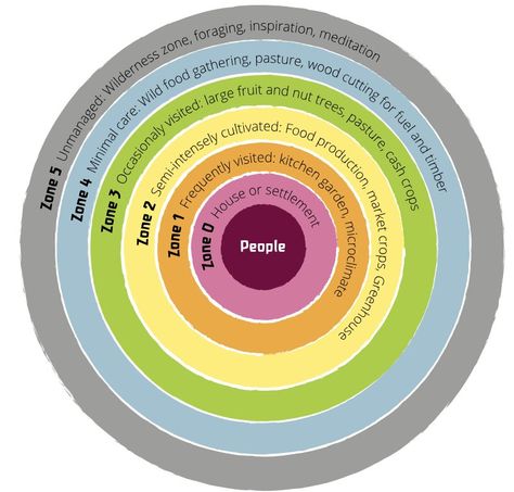 Mandala Garden, Permaculture Principles, Ecology Design, Permaculture Gardening, Permaculture Design, Natural Ecosystem, Urban Homesteading, Food Forest, Forest Garden