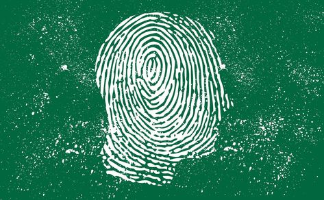 How to Prevent Identity Theft — And Protect Yourself in the Future | KCM Fix Your Credit, Online Safety, Line Of Credit, Tax Refund, Identity Theft, How To Protect Yourself, Money Matters, Screwed Up, Protect Yourself