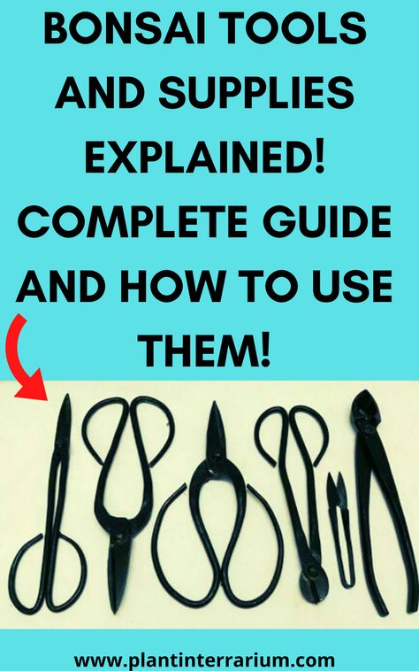 In this post, you will find a list of Bonsai tools explained – you will learn all about Bonsai tools and supplies, including beginner and advanced tools for Bonsai, what they are for, and how and when to use them. Bonsai Guide, Bonsai How To, Bonsai Care Tips, Bonsai Wiring Technique, Bonsai Kit, Bonsai Tools, Garden Trees, Bonsai Tree, Tools