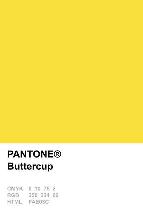 Yellow Pantone, Buttercup Yellow, Pantone Palette, Yellow Aesthetic, Colour Board, Color Collection, Yellow Color, Color Swatches, Pantone Color