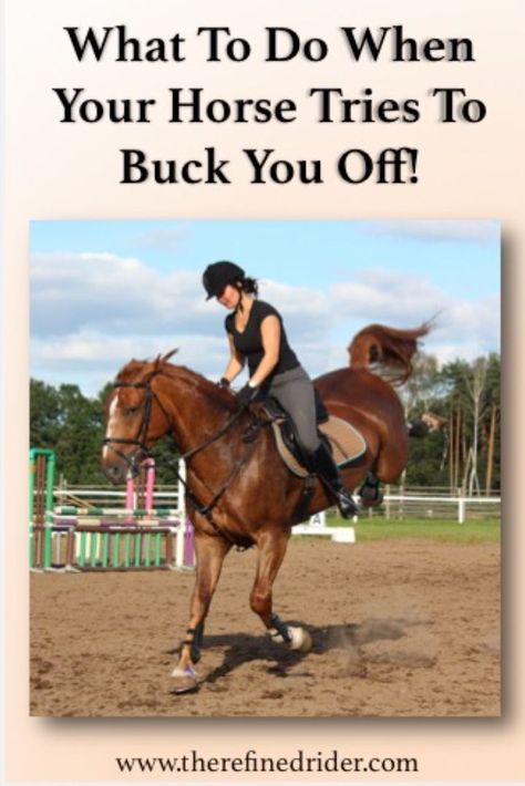 Horses Tips, Horse Training Exercises, Horse Ownership, Horse Behavior, Horseback Riding Tips, Horse Information, Horse Knowledge, Horse Exercises, Horse Care Tips