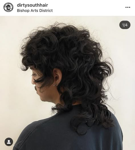 Curly Mod Haircut, Long Curly Mullet Men, Curly Shullet, Shaggy Mullet Curly Hair, Natural Curly Hair Mullet, Curly Wolf Cut Men, Overgrown Mullet, Curly Shag Mullet, Edgy Curly Haircut