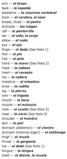 Useful Spanish Phrases, Spanish Words For Beginners, Basic Spanish Words, Learn To Speak Spanish, Basic Spanish, Spanish Basics, Learning Spanish Vocabulary, Spanish Verbs, Speak Spanish