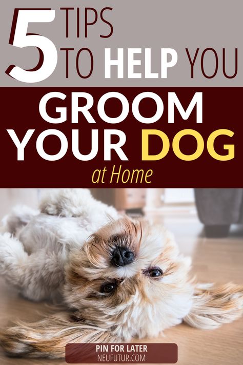 At Home Dog Grooming, Grooming Yorkies, Dog Grooming Diy, Pets Stuff, Dog At Home, Shih Tzu Grooming, Dog Grooming Shop, Puppy Grooming, Dog Grooming Tips