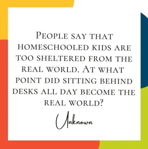 Why I Homeschool Quotes, Homeschool Inspiration Quotes, Homeschool Rules, Homeschool Humor, Homeschool Quotes, Homeschool Inspiration, Too Cool For School, The Real World, Funny Quotes