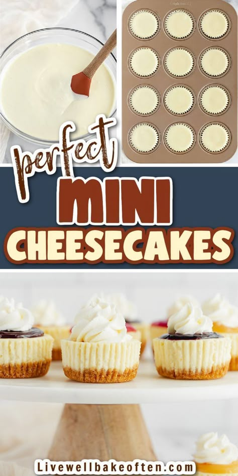 These easy mini cheesecakes from Live Well Bake Often feature a homemade graham cracker crust with a creamy cheesecake filling. Plus several different topping options to use too! These are the perfect desserts that are sure to please everyone! Try these delicious mini cheesecakes today! Easy Mini Cheesecakes, Homemade Graham Cracker, Live Well Bake Often, Mini Cheesecake Pan, Mini Cheesecake Bites, Mini Cheesecakes Easy, Individual Cheesecakes, Homemade Graham Cracker Crust, Mini Pecan Pies