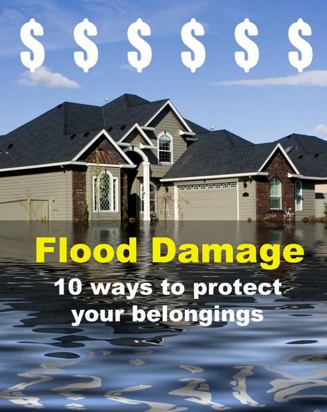 How to Prevent Flood Damage Home Flood Prevention, Water Damaged Ceiling, Flood Preparedness, Concrete Board, Flood Mitigation, Flood Prevention, Flooded House, Mold Prevention, Home Safety Tips