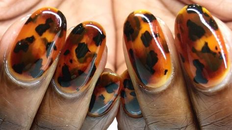 Matching your tortoise shell nails to your glasses! I am so grateful that my nails are featured in this Allure write up! Click through for some examples of more tortoise shell nails so you can get this manicure this fall! Tortoiseshell Nails, Fall Manicure, Cute Nails For Fall, Animal Print Nails, Gel Designs, Nail Patterns, Pretty Nail Art, Fall Nail Art, Fall Nail Colors