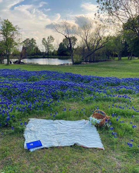 Blue Bonnet Aesthetic, Blue Picnic Aesthetic, Blue Country Aesthetic, Texas Summer Aesthetic, Muffin Strawberry, Avery Core, Bluebonnet Field, Texas Aesthetic, Southern Aesthetic