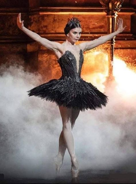 Swan Lake Costumes, Natalia Osipova, Swan Lake Ballerina, Black Swan Costume, Swan Lake Ballet, The Royal Ballet, The Black Swan, Ballerina Project, Tutu Ballet