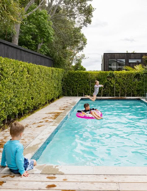 Queensland Backyard Landscaping, Pool And Trampoline Backyard, Family Swimming Pool, Backyard Layout Ideas With Pool, Spa Pool Ideas Small Backyards, Beach Pools Backyard, Small Modern Pool, Family Pool Ideas, Pool For Small Backyard