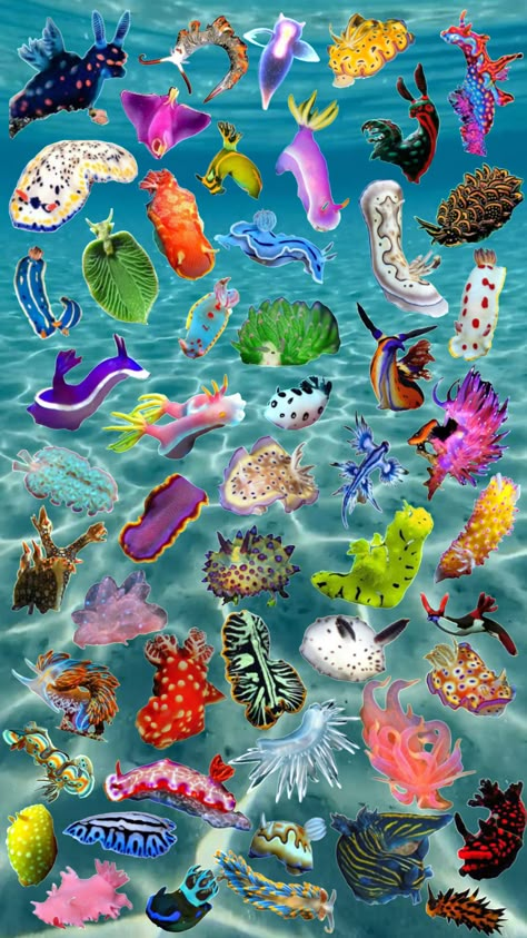 I love sea slugs! #seaslug #nudibranch Underwater Painting, Sea Slugs, Coral Art, Sea Snail, Sea Slug, Beautiful Sea Creatures, Arte Inspo, Slug, Ocean Creatures