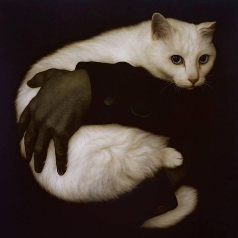 Arte Inspo, Angel Face, 귀여운 동물, White Cat, Dark Aesthetic, Dark Art, Cat Art, Animal Art, Art Inspo