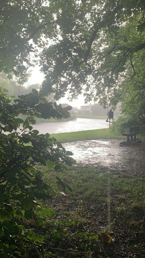 Calming Wallpaper, Greenery Wallpaper, Angels Blood, Brow Tattoo, Rainy Day Aesthetic, Summer Storm, Dark Nature Aesthetic, Out Of The Woods, Pretty Landscapes