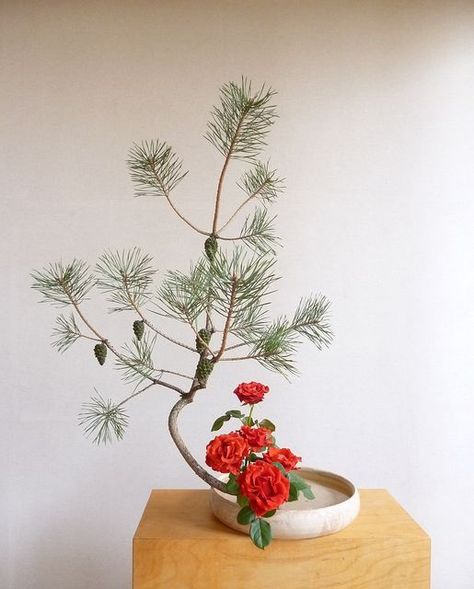 Art Floral Japonais, Floral Sculpture, Arreglos Ikebana, Ikebana Sogetsu, Sogetsu Ikebana, Winter Arrangements, Ikebana Arrangements, Ikebana Flower Arrangement, Ikebana Vases